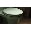 San Souci 1.28 GPF Elongated One-Piece Comfort Height Toilet with AquaPiston Technology - Seat Included - ghe1bizccjm0ggt8knhn_800x500@2x.jpg