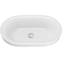 Studio S 22-1/2" Oval Vitreous China Vessel Bathroom Sink with Overflow - hnxijpdvu5f6fm0q4txc_800x500@2x.jpg