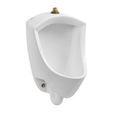 Pintbrook Wall Mounted Urinal 3/4" Top Spud - Less Flushometer - i5zudlpc82a58fzaskju_800x500@2x.jpg