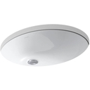 Caxton 21-1/4" x 17-1/4" Undermount Bathroom Sink with Overflow - jydoszcd7o6ql7ra5z7i_800x500@2x.jpg