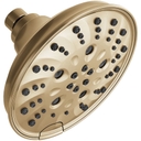 1.75 GPM Multi Function Shower Head - kpcdmxkjnzrzkfpygd56_800x500@2x.jpg