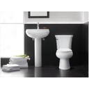 Wellworth Elongated Toilet Bowl - Less Seat - veb4rmd6be2r3e2h1xrw_800x500@2x.jpg