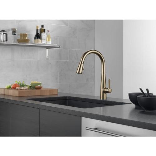 Essa Pull-Down Kitchen Faucet with Magnetic Docking Spray Head - Includes Lifetime Warranty - a3gtwslksauzfsteyzbw_x500.jpg