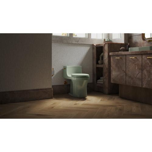 San Souci 1.28 GPF Elongated One-Piece Comfort Height Toilet with AquaPiston Technology - Seat Included - akqsewrzga10gddcbxys_x500.jpg