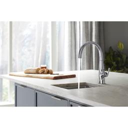 Graze 1.5 GPM Single Hole Bar Faucet - anikgwqzzb79acxkt1sr_x500.jpg