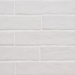 Brickstone White Porcelain Tile 2x10 - aoops8s8nwmywygoinwj_x500.jpg