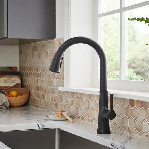 Renate 1.5 GPM Single Hole Pull Down Kitchen Faucet - Includes Escutcheon - ary2knvz7nmzyuxabbj0_x500.jpg