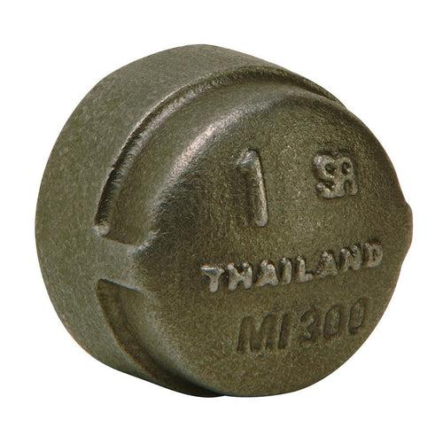 Cap, 1/2 in, FNPT, 300 lb, Malleable Iron, Black - as1drxtyanndmyv9tsf9_x500.jpg