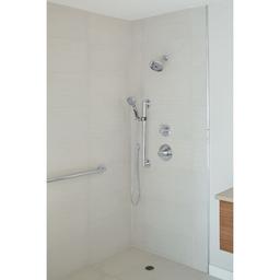 Universal Showering Components 2.5 GPM Multi Function Hand Shower - assyiee1l5gx2xweupql_x500.jpg