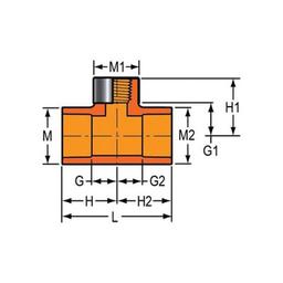 FlameGuard® Head Tee, 1 in, Socket x Special Reinforced FNPT, CPVC - avg1fhur2qucoaiclzzt_x500.jpg