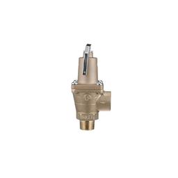 Temperature & Pressure Relief Valve, 3/4 in, MNPT x FNPT, Brass - bcuzlwmmyfu7hpk7kxqc_x500.jpg