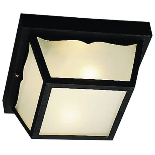 2 Light Outdoor Ceiling Fixture - bgrbm47avorv1pd3xdzy_x500.jpg