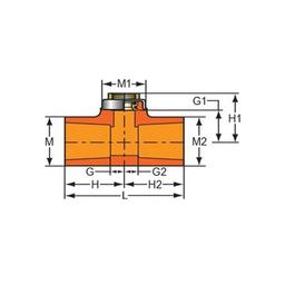 FlameGuard® TorqueSafe™ Head Tee, 3/4 x 1/2 in, Socket x Brass FNPT, CPVC - bo4im43zrtrh9mtslf5b_x500.jpg