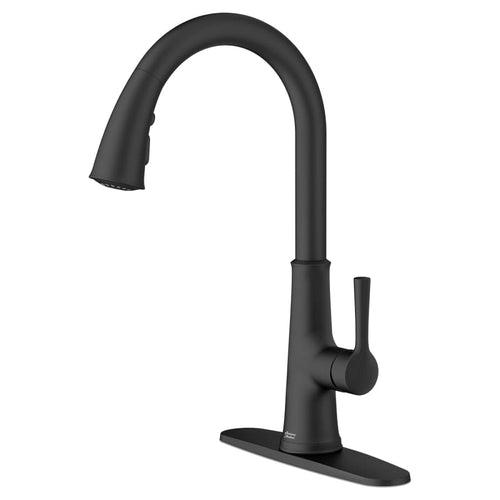 Renate 1.5 GPM Single Hole Pull Down Kitchen Faucet - Includes Escutcheon - bplhkmao7asfyktebdnd_x500.jpg