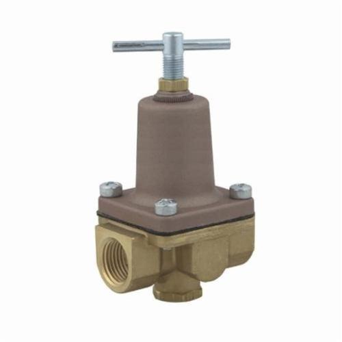 Water Pressure Regulator, 1/2 in, FNPT, Brass - byts5auea6j8mxyuzqtk_x500.jpg