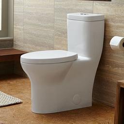 Lyndon Dual Flush One Piece Elongated Toilet with EverClean - Seat Included - c9x9aplj3ujm9koneohn_x500.jpg