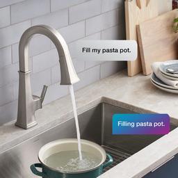 Riff 1.5 GPM Single Hole Pull Down Kitchen Faucet - chnlbqydhclphjqd7pzm_x500.jpg