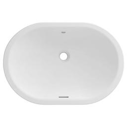 Essence Top/Under Mount Lavatory Sink, ADA, 24-7/8 x 17 x 4-7/8 in, Fireclay, Alpine White - coadyfcure0mb8liwrtn_x500.jpg