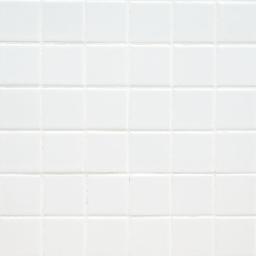 Domino White 2x2 Matte - collpybtqegphkeewxdc_800x500@2x.jpg