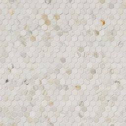 Calacatta Gold 1” Hexagon Mosaic Tile - csnvmccktnkpadsefk89_x500.jpg