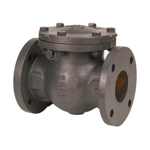 Swing Check Valve, 2-1/2 in, Flange, Cast Iron - csojnadat7mrvcwpjhh6_x500.jpg