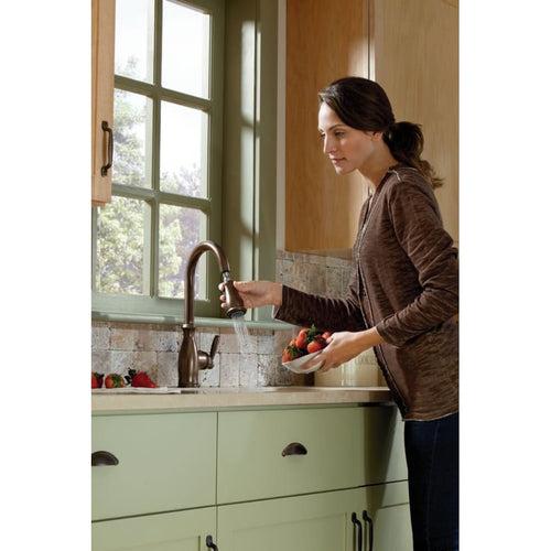 Brantford Single Handle Pulldown Spray Kitchen Faucet with Reflex Technology - ctwojo0zibrdgrhzjbi1_x500.jpg