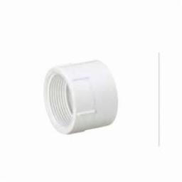 Female Adapter, 1-1/2 in, FNPT x Hub, DWV, PVC - dpao04serrli8o2wzrbg_x500.jpg