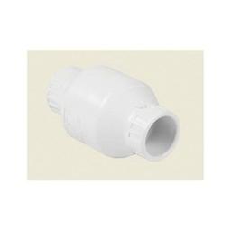 Swing Check Valve, 1 in, Socket, PVC - dw3eoprrwuv8dp14o77a_x500.jpg