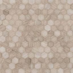 Honey Comb Multi Finish 2" Hexagon Mosaic Tile - dx4ng4caghkdbw9wxbwa_x500.jpg