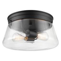 Aleyna 2-Light Matte Black Outdoor/Indoor Flush Mount Light with Clear Glass Shade - ekwtvktdenegaf0tny8x_800x500@2x.jpg