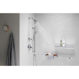 Forte 2.5 GPM Multi Function Hand Shower - elzssjtsrwcczvetfvzy_x500.jpg