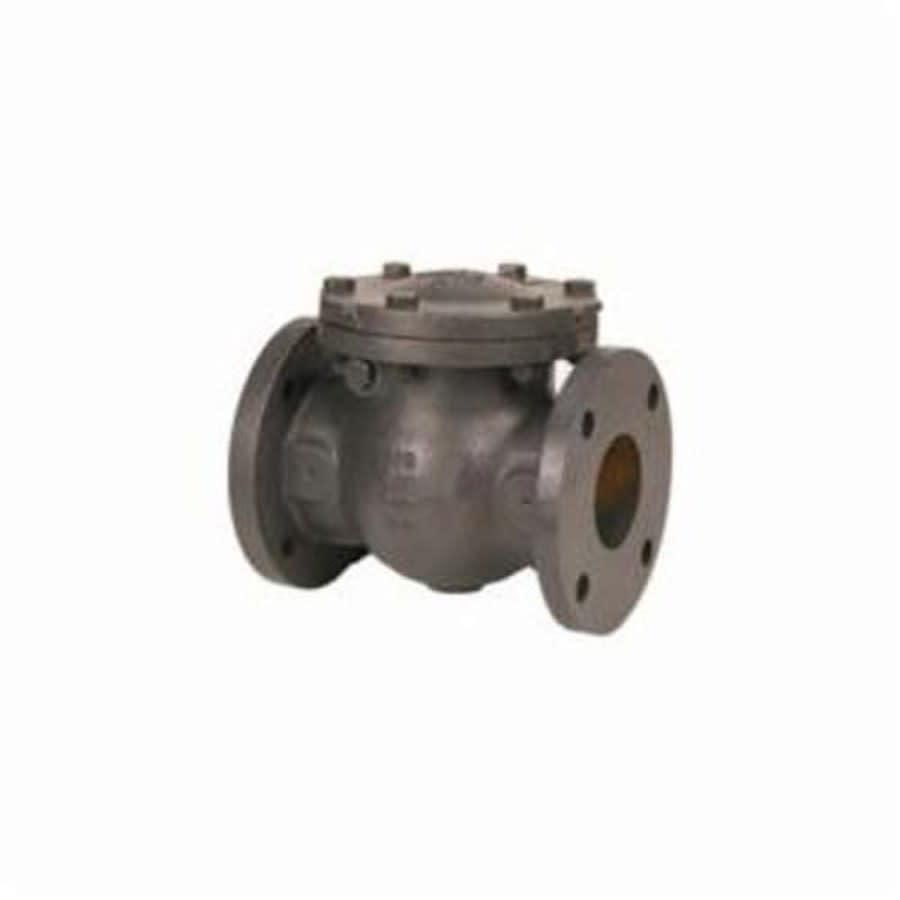 Swing Check Valve, 2-1/2 in, Flange, Cast Iron - epalpg8jgitxz3bkcdp5_800x500@2x.jpg