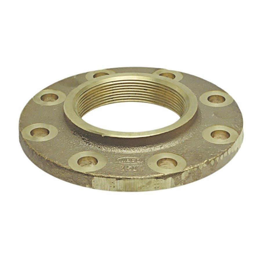 Companion Flange, 4 in, FNPT, 9 in OD, (8) 3/4 in Bolt Holes, 150 lb - er3lcgge9kzsybjcs1ld_800x500@2x.jpg