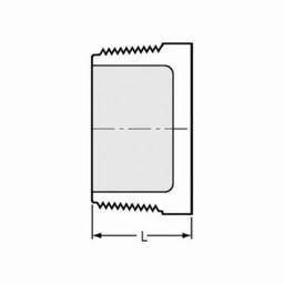 Plug, 3 in, MNPT, SCH 40/STD, PVC - erzv9xte6imonfcbnqaw_x500.jpg