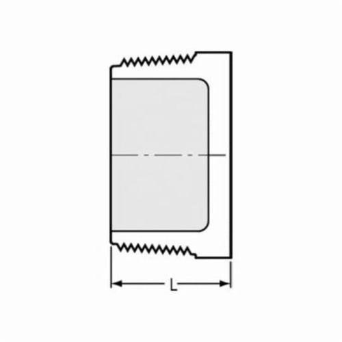 Plug, 3 in, MNPT, SCH 40/STD, PVC - erzv9xte6imonfcbnqaw_x500.jpg