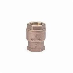 Spring Check Valve, 2 in, FNPT, Bronze - f0nyfc8yyhrshi0fc4zl_x500.jpg