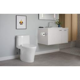 Veil One-piece Elongated Dual-Flush Toilet with Skirted Trapway - f42z7z31lqxovtkbzwl5_x500.jpg