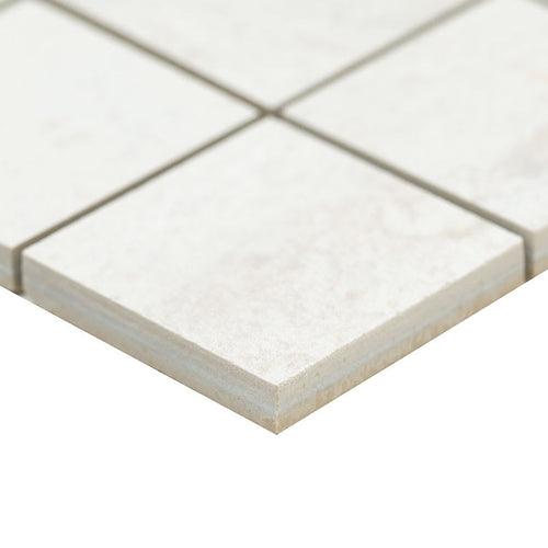 Oxide Blanc 2x2 Matte Mosaic - flghkqg6e8y8lngedlxw_x500.jpg