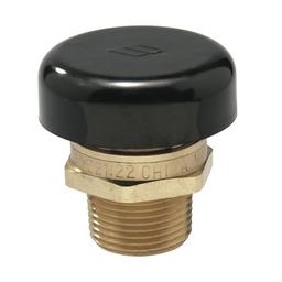 Vacuum Relief Valve, 3/4 in, MNPT, Brass - fnhdffq0y3woly7eacpy_800x500@2x.jpg