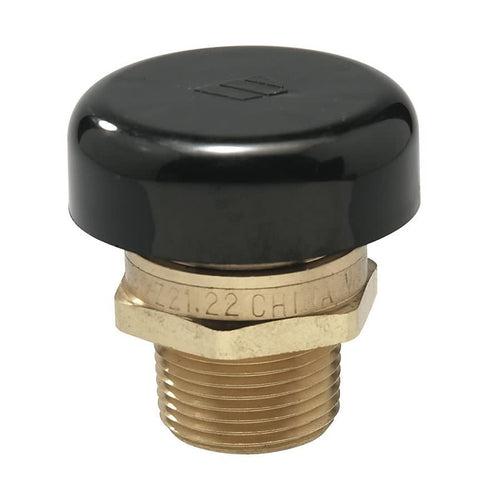 Vacuum Relief Valve, 3/4 in, MNPT, Brass - fnhdffq0y3woly7eacpy_x500.jpg