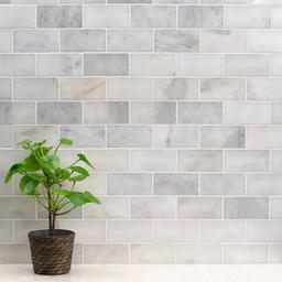 Greecian White Marble Subway Tile 3x6 - fz67q1howway5gazerkm_x500.jpg