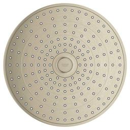 Euphoria® Multi Function Shower Head, 10 in Dia, 1.75 gpm, Brushed Nickel - fzpcyajmyjyoyqwbwto6_x500.jpg