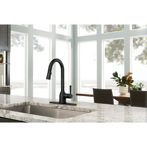 Adler 1.5 GPM Single Hole Pull Down Kitchen Faucet - g7gsjvksys81mdf2oovd_x500.jpg