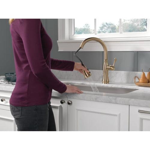 Cassidy Pull-Down Kitchen Faucet with Magnetic Docking Spray Head and ShieldSpray - Includes Lifetime Warranty - gbgawzy9eh5jbwbqr6sn_x500.jpg