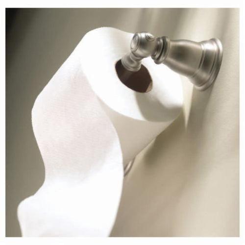 Kingsley® Toilet Paper Holder, Wall Mount, Brushed Nickel - gcmtqfk9yioiihozzhpg_x500.jpg