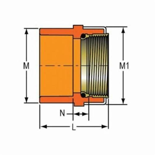 FlameGuard® Adapter, 3/4 in, Socket x Brass FNPT, CPVC - gdrpnkvrzzbjujjpykux_x500.jpg