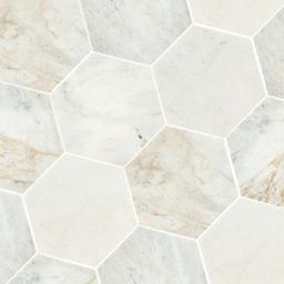 ARABESCATO VENATO 8" HEXAGON HONED - geldrsfmmtkbedacyndm_x500.jpg