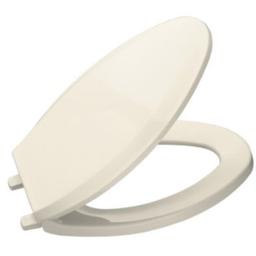 Lustra Q2 Elongated Closed-Front Toilet Seat with Quick-Release and Quick-Attach Hinges - ghi5qkktfctv0gmfzvuj_800x500@2x.jpg