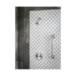 Brantford™ Pressure Balanced Shower Trim, ADA, Polished Chrome - gtjnzqobtm1ripaf0poz_x500.jpg