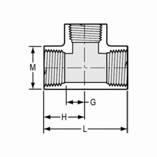 Tee, 1-1/4 in, FNPT, SCH 40/STD, PVC - gxqascumjnj4exkckx6w_x500.jpg